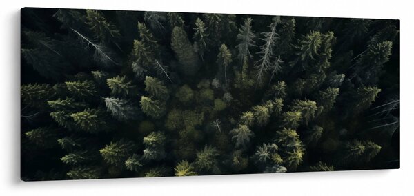 Kép - Forest (120x50 cm)