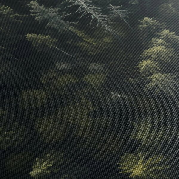 Kép - Forest (70x50 cm)