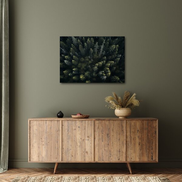 Kép - Forest (70x50 cm)