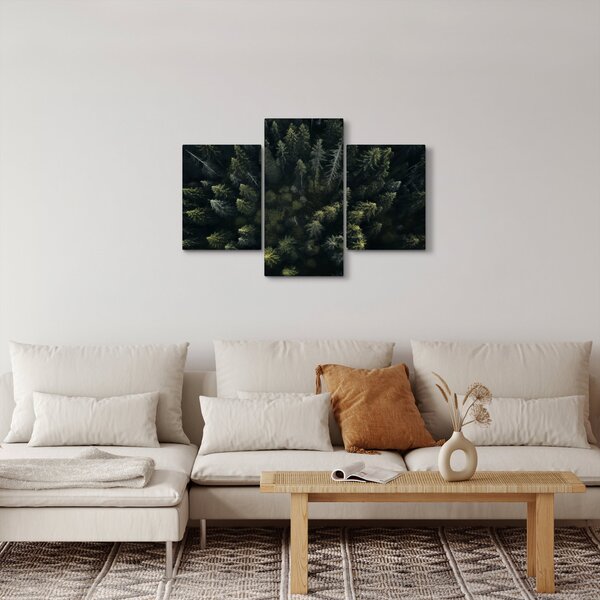 Kép - Forest (90x60 cm)