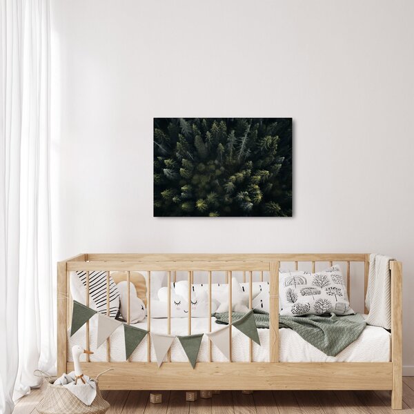 Kép - Forest (70x50 cm)
