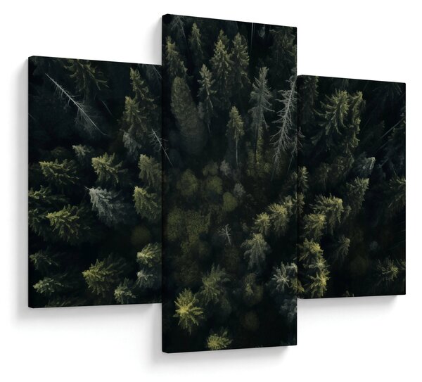 Kép - Forest (90x60 cm)