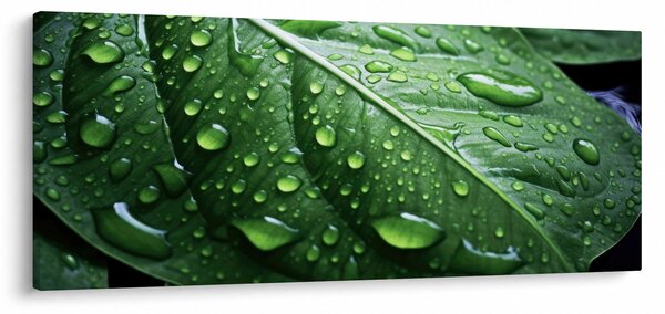 Kép - Részlet levél eső után (120x50 cm)