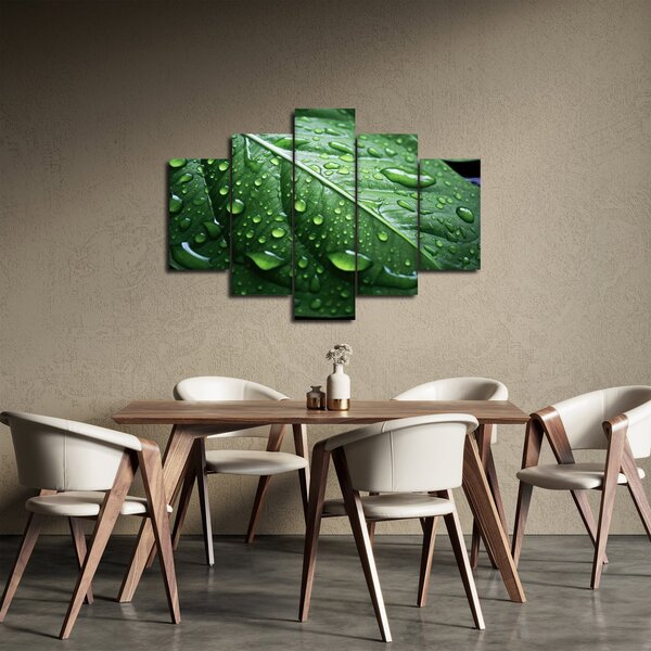 Kép - Részlet levél eső után (150x105 cm)