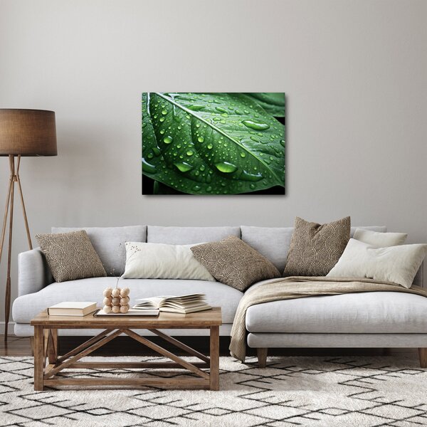 Kép - Részlet levél eső után (70x50 cm)