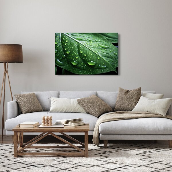 Kép - Részlet levél eső után (90x60 cm)