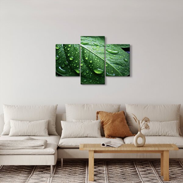 Kép - Részlet levél eső után (90x60 cm)