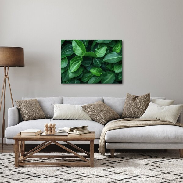 Kép - Zöld levelek (70x50 cm)