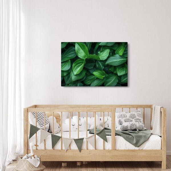 Kép - Zöld levelek (90x60 cm)
