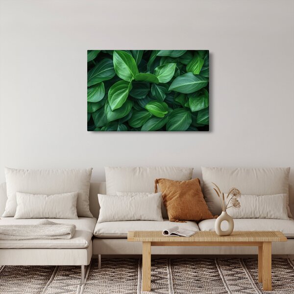 Kép - Zöld levelek (90x60 cm)