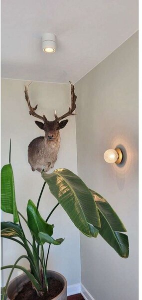 Mennyezeti Lámpa ANTIDARK, dimmable, Fehér, Nappali, Alumínium