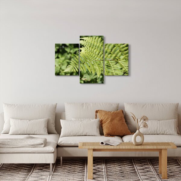 Kép - Páfránylevél (90x60 cm)