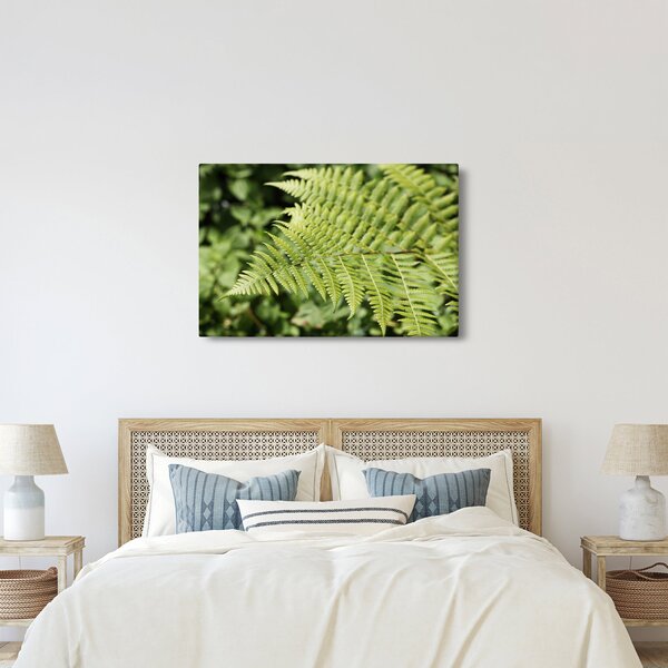 Kép - Páfránylevél (90x60 cm)