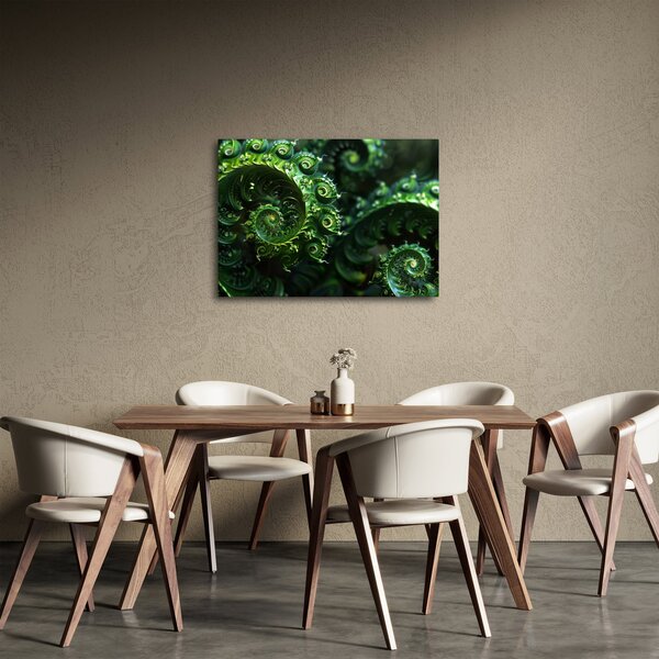 Kép - Spirálok (70x50 cm)
