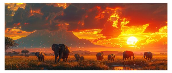Kép - Elefántcsorda (120x50 cm)
