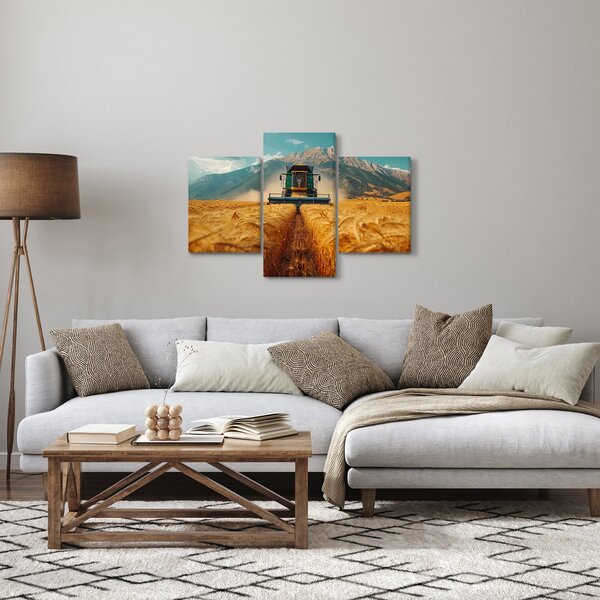 Kép - Zemedelec (90x60 cm)