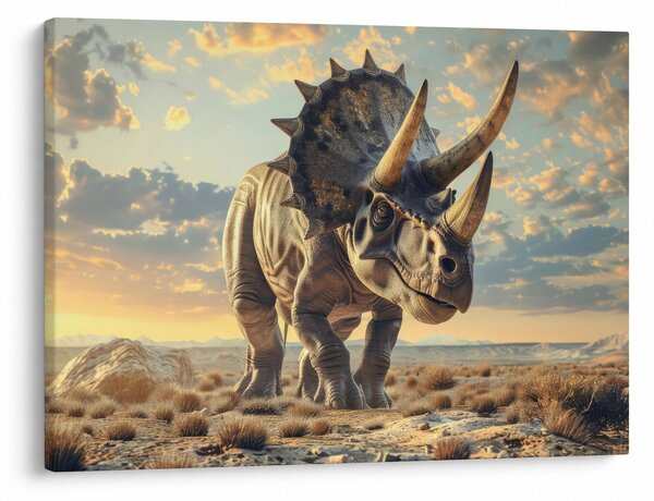 Kép - Triceratops (70x50 cm)