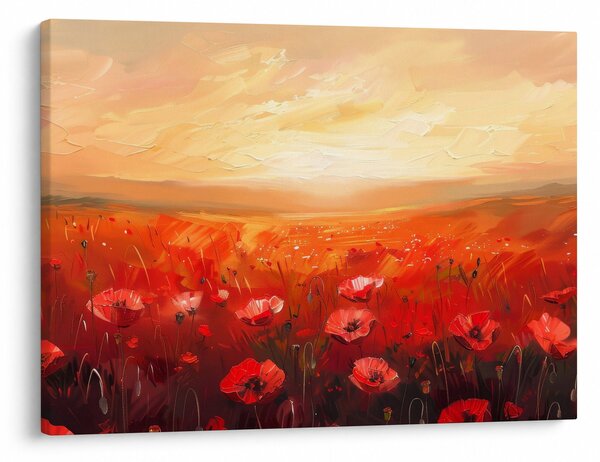 Kép - Mező pipacsok (70x50 cm)