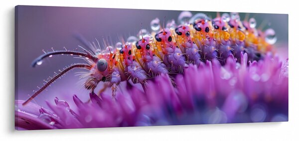 Kép - Caterpillar (120x50 cm)