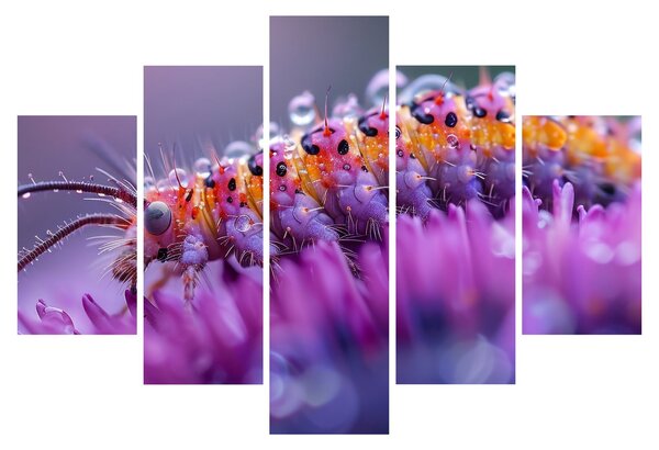 Kép - Caterpillar (150x105 cm)