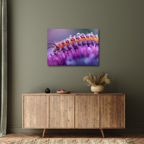 Kép - Caterpillar (70x50 cm)