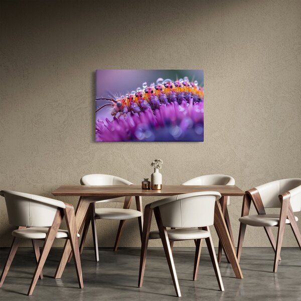 Kép - Caterpillar (90x60 cm)