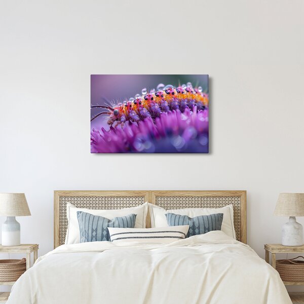 Kép - Caterpillar (90x60 cm)
