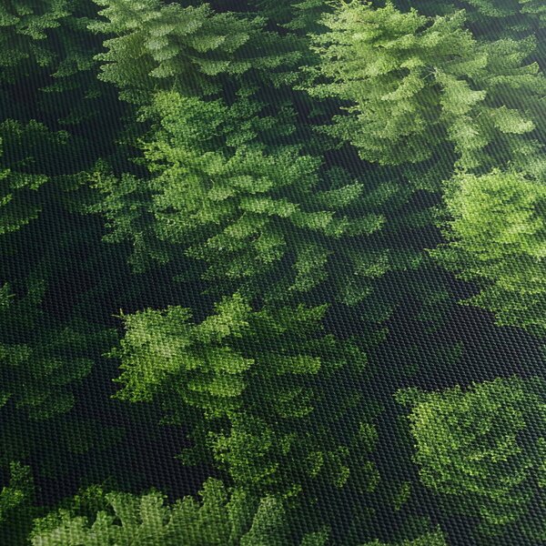 Kép - Forest (70x50 cm)