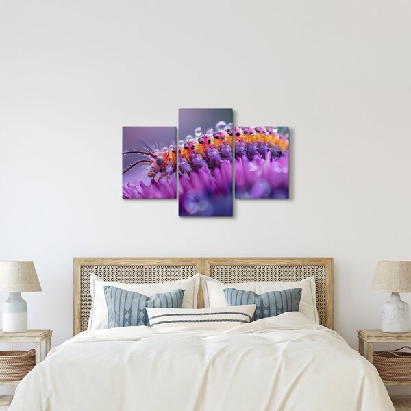 Kép - Caterpillar (90x60 cm)