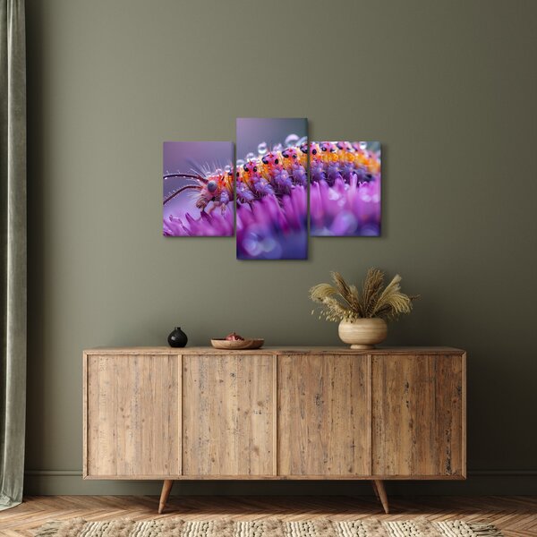 Kép - Caterpillar (90x60 cm)