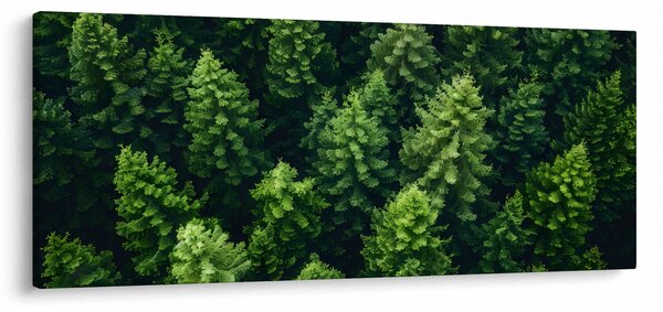 Kép - Forest (120x50 cm)