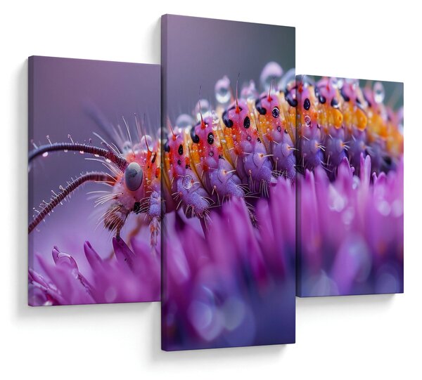 Kép - Caterpillar (90x60 cm)