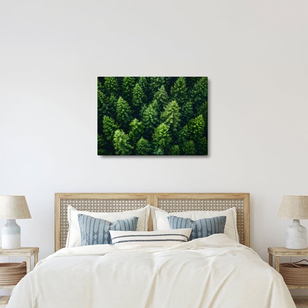 Kép - Forest (70x50 cm)