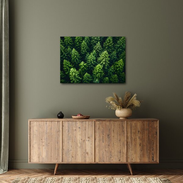 Kép - Forest (70x50 cm)