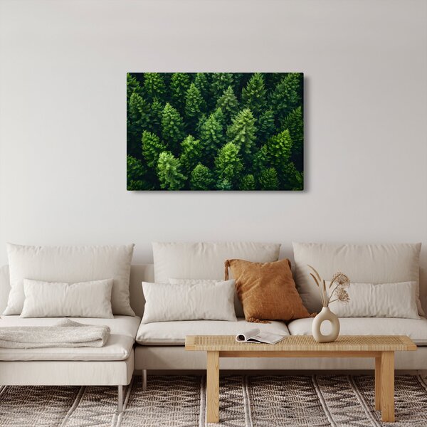 Kép - Forest (90x60 cm)