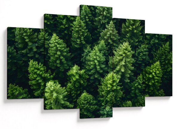 Kép - Forest (150x105 cm)
