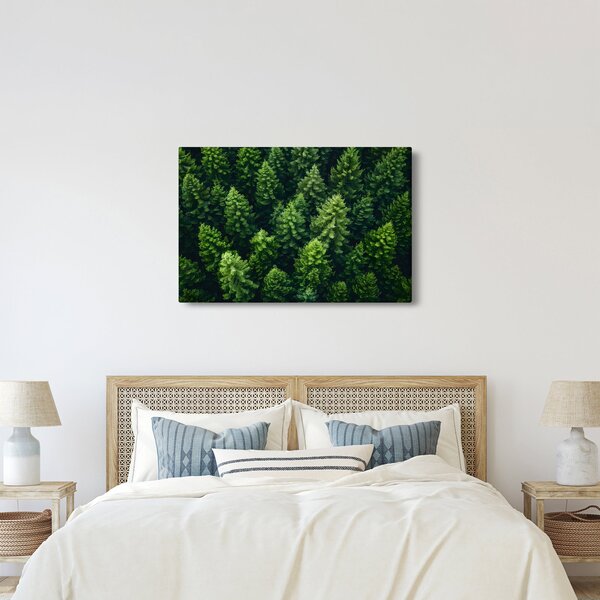 Kép - Forest (90x60 cm)