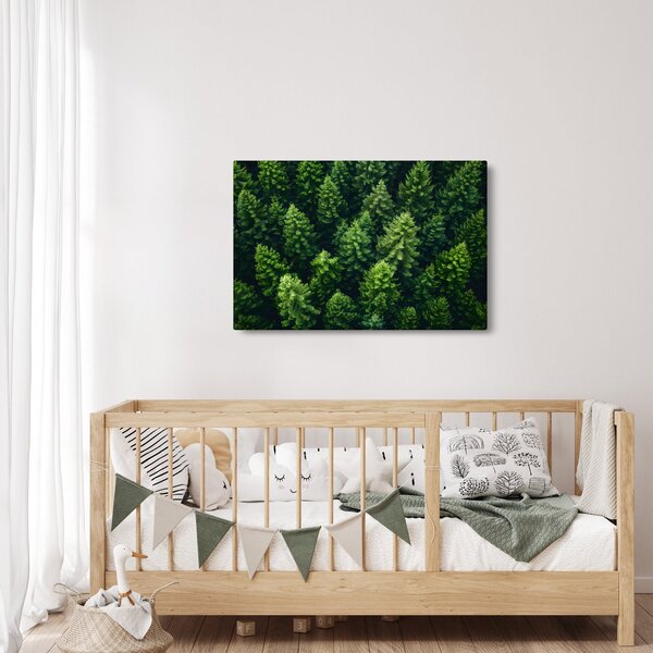Kép - Forest (90x60 cm)