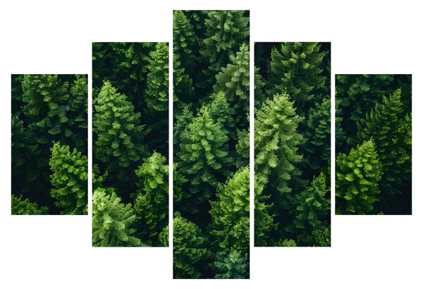 Kép - Forest (150x105 cm)