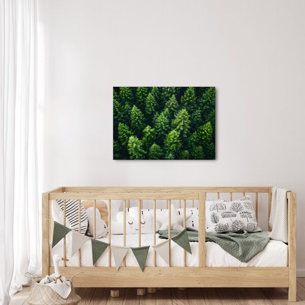 Kép - Forest (70x50 cm)