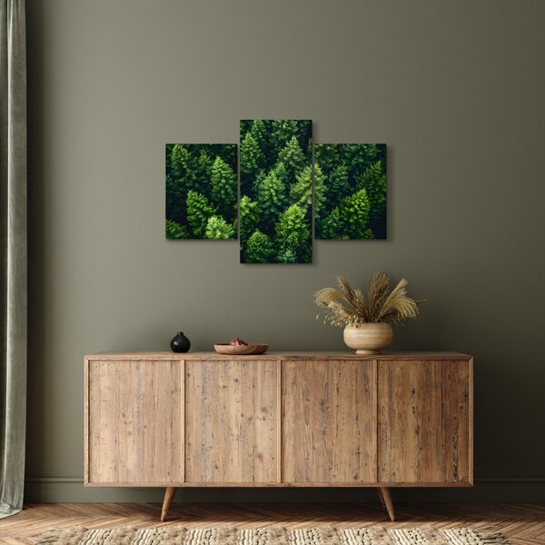 Kép - Forest (90x60 cm)