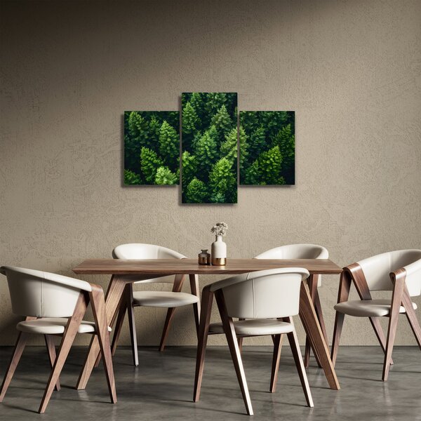 Kép - Forest (90x60 cm)