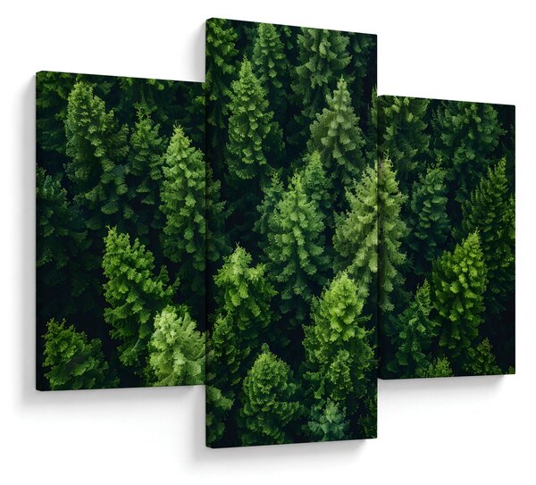 Kép - Forest (90x60 cm)