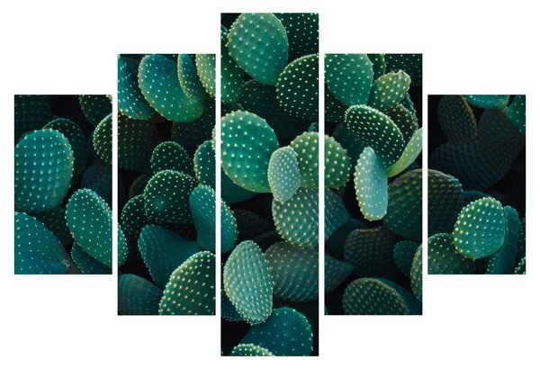 Kép - Opuntia (150x105 cm)