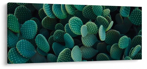 Kép - Opuntia (120x50 cm)