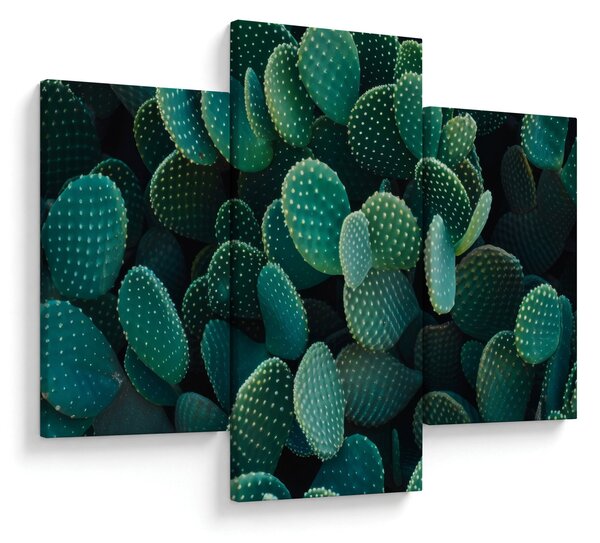 Kép - Opuntia (90x60 cm)