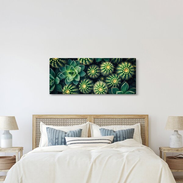Kép - Kaktuszok (120x50 cm)