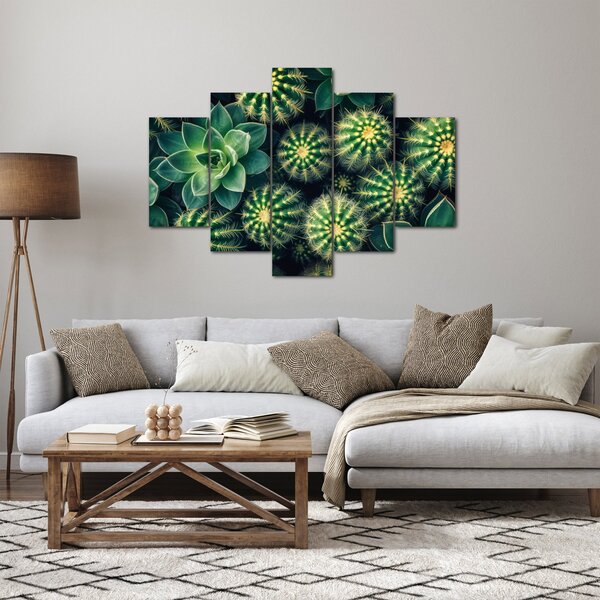 Kép - Kaktuszok (150x105 cm)