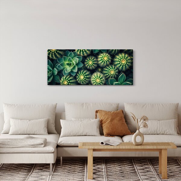 Kép - Kaktuszok (120x50 cm)