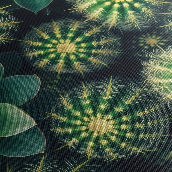 Kép - Kaktuszok (90x60 cm)